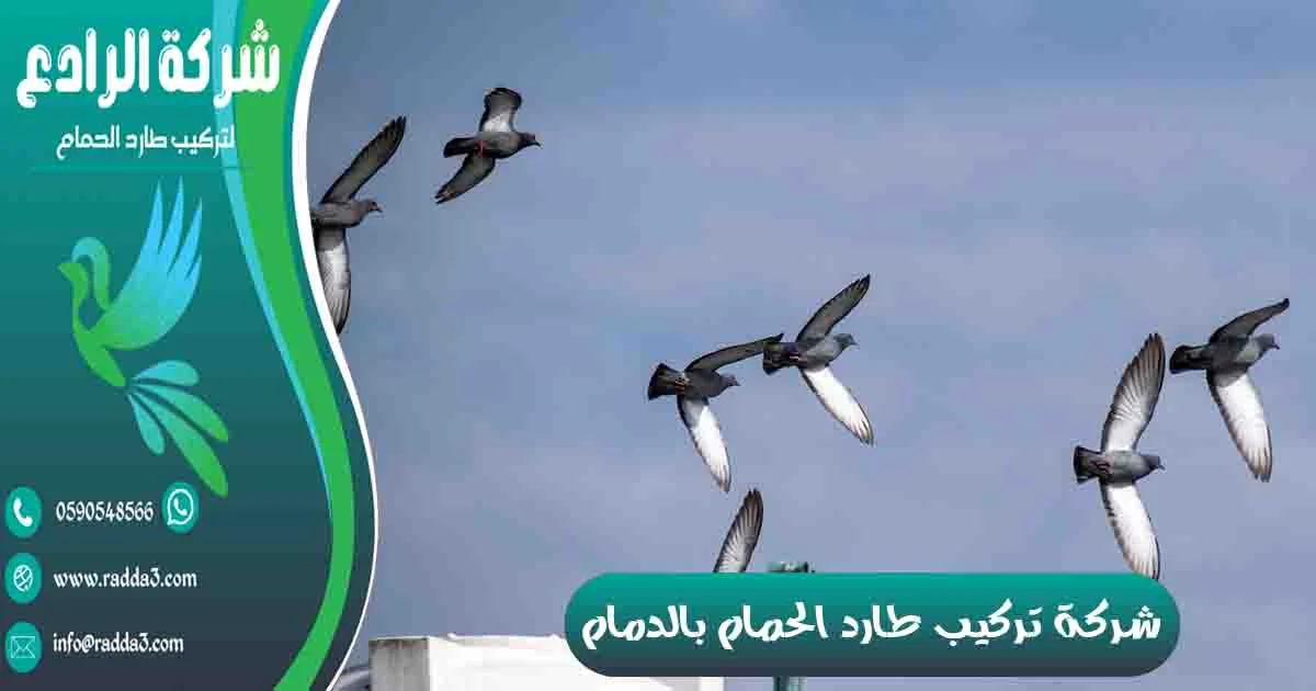 شركة تركيب طارد الحمام بالدمام شركة مكافحة الحمام بالدمام تركيب طارد الحمام بالدمام شركة طارد الحمام بالدمام