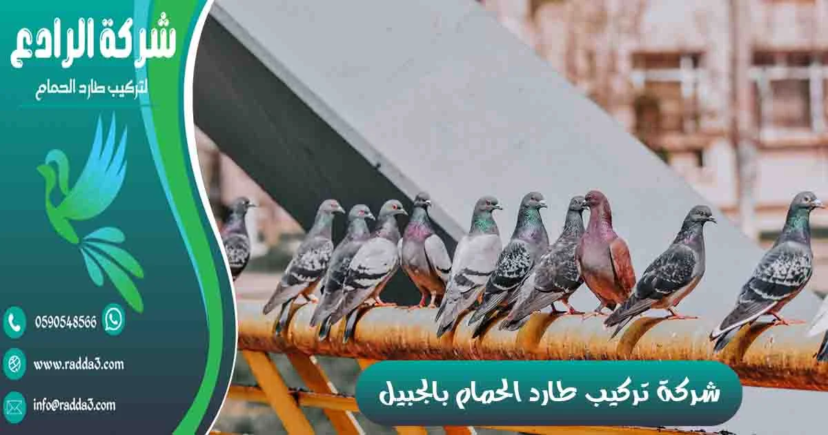 شركة تركيب طارد الحمام بالجبيل شركة مكافحة الحمام بالجبيل