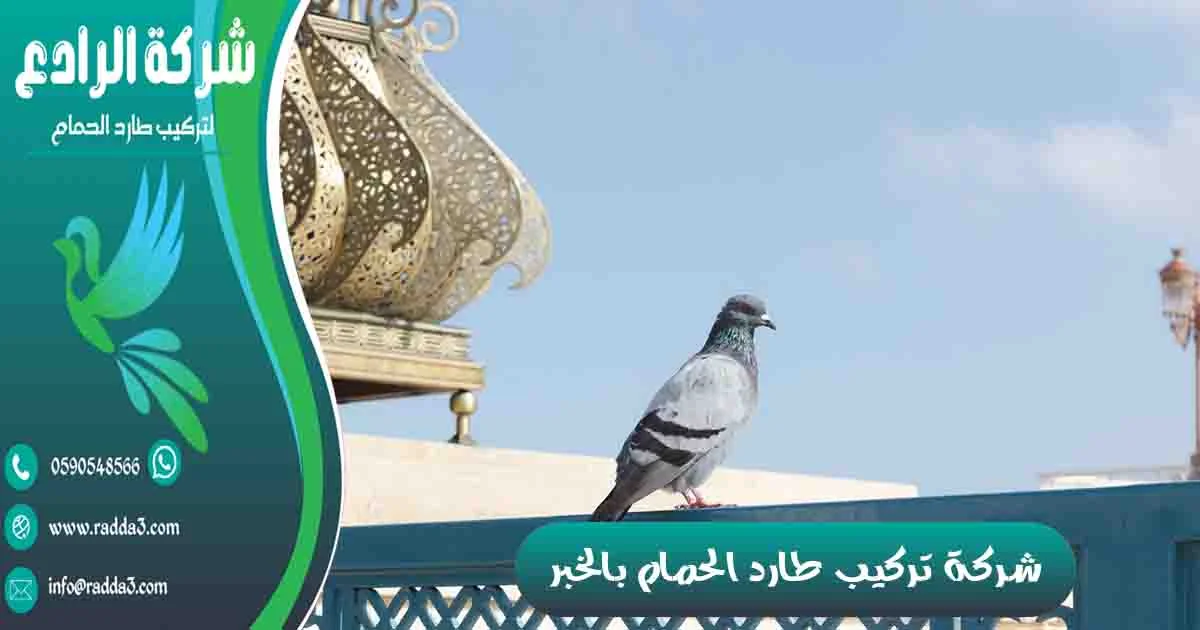 شركة تركيب طارد الحمام بالخبر شركة مكافحة الحمام بالخبر تركيب طارد الحمام بالخبر