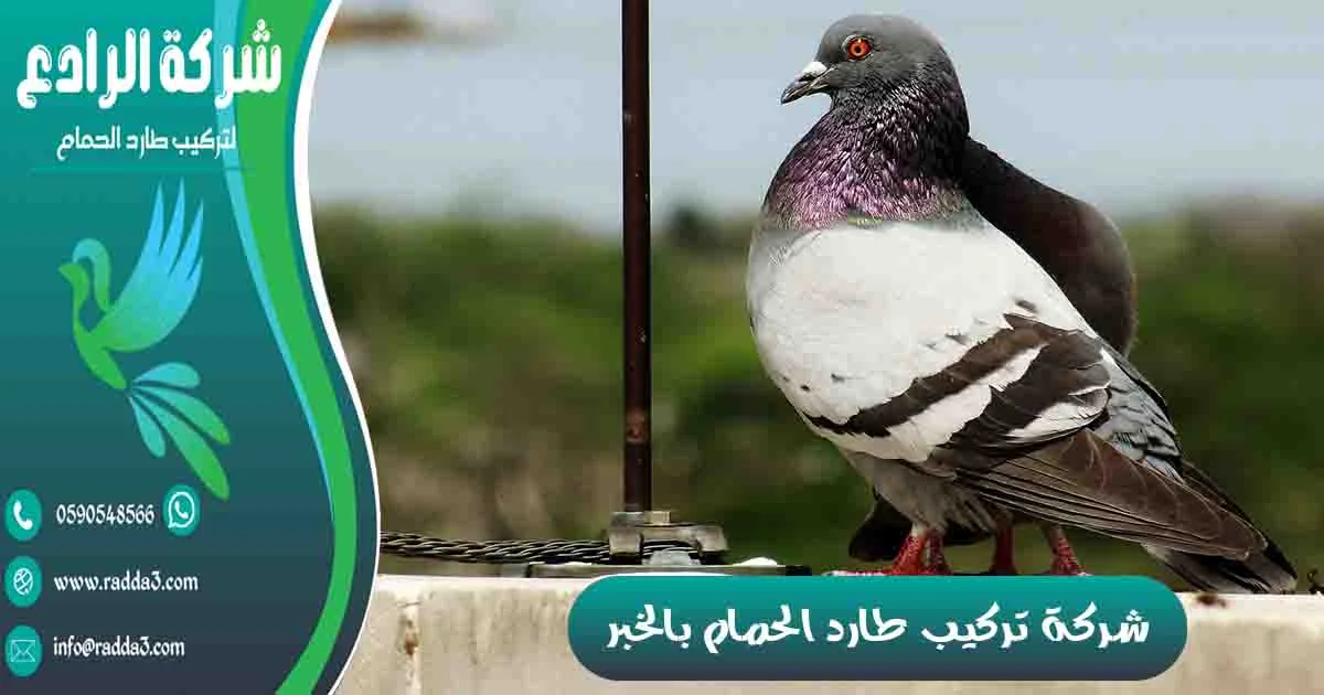 شركة تركيب طارد الحمام بالخبر شركة مكافحة الحمام بالخبر تركيب طارد الحمام بالخبر