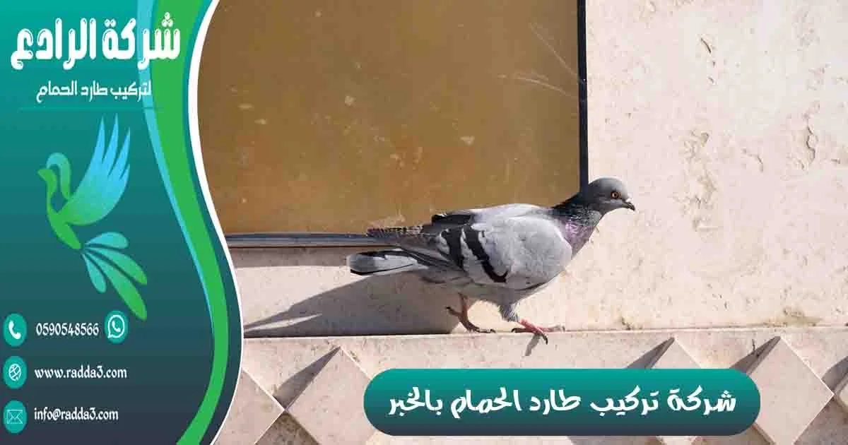 شركة تركيب طارد الحمام بالخبر شركة مكافحة الحمام بالخبر تركيب طارد الحمام بالخبر