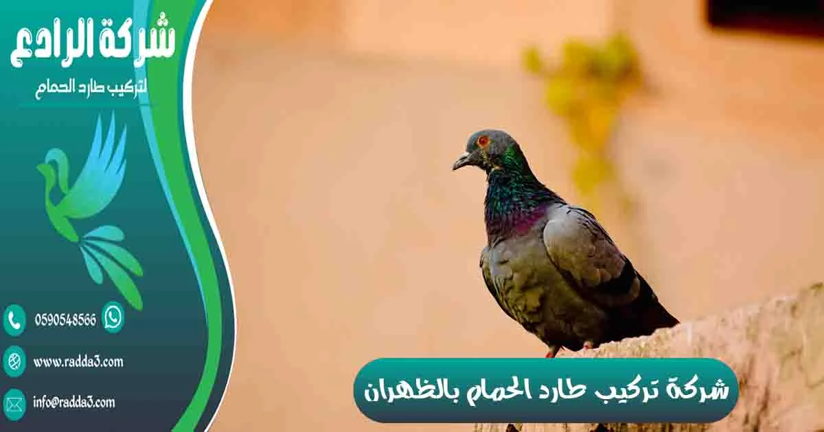 شركة تركيب طارد الحمام بالظهران شركة مكافحة الحمام بالظهران