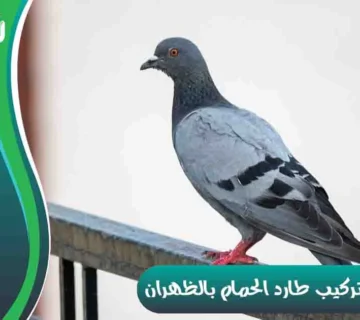 شركة تركيب طارد الحمام بالظهران شركة مكافحة الحمام بالظهران