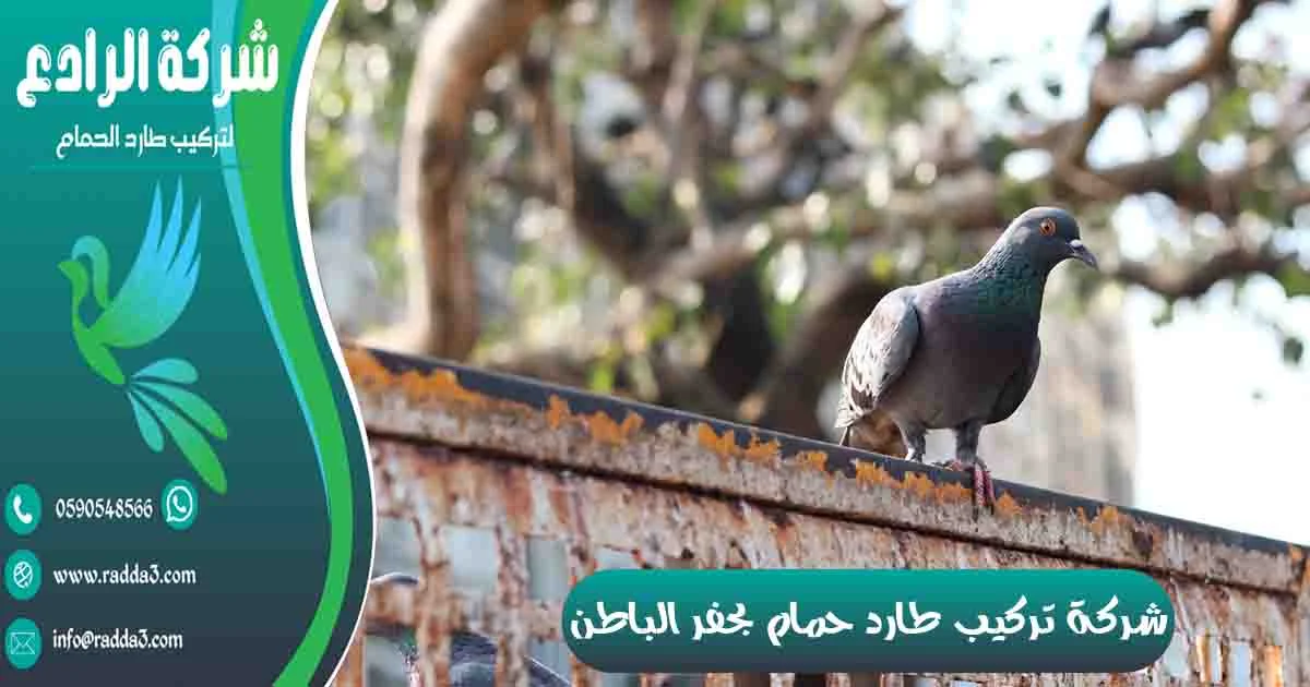 شركة تركيب طارد حمام بحفر الباطن