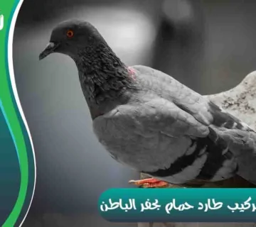 شركة تركيب طارد حمام بحفر الباطن
