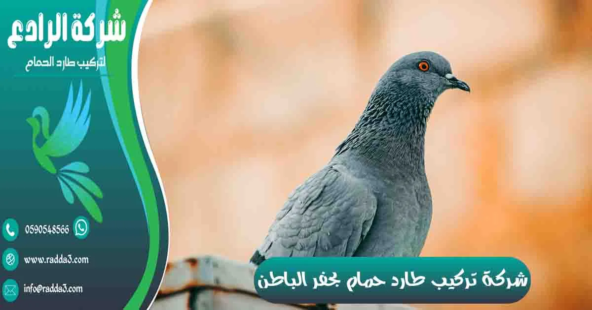 شركة تركيب طارد حمام بحفر الباطن