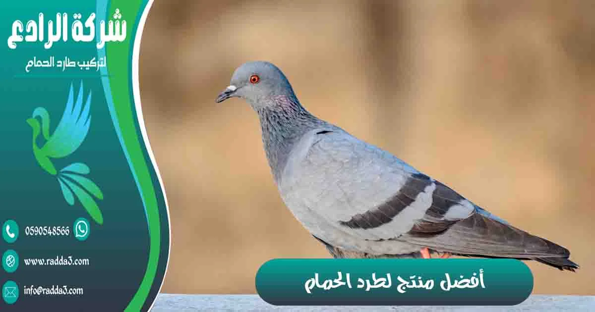 أفضل منتج لطرد الحمام مادة لطرد الحمام