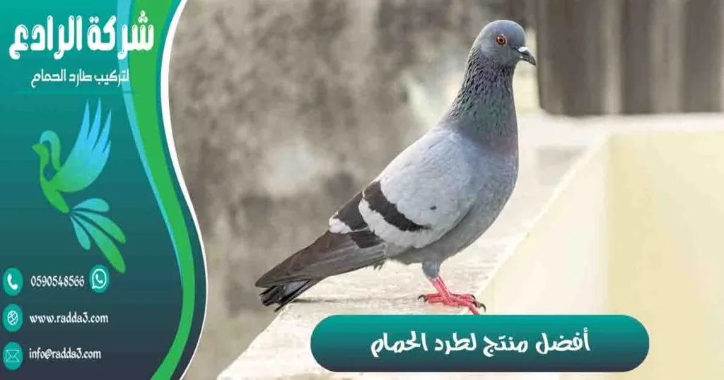 أفضل منتج لطرد الحمام
مادة لطرد الحمام