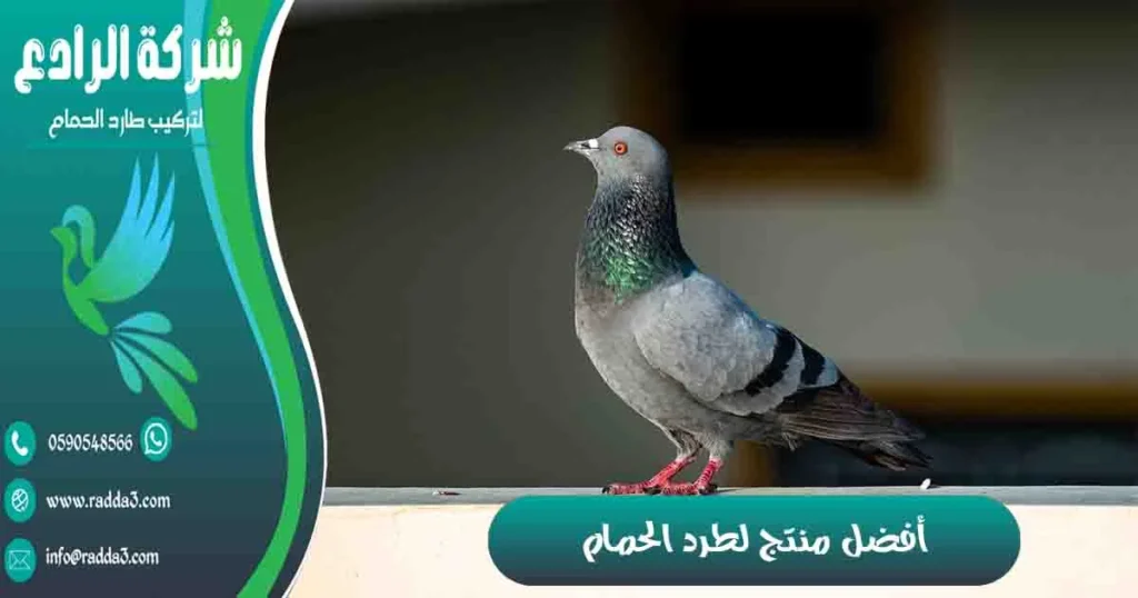 أفضل منتج لطرد الحمام
مادة لطرد الحمام