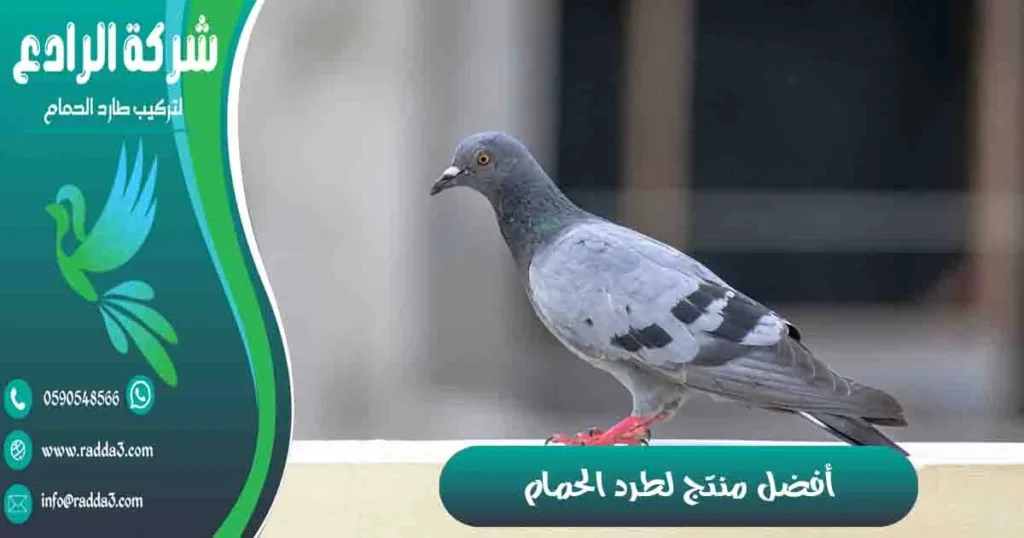 أفضل منتج لطرد الحمام
مادة لطرد الحمام