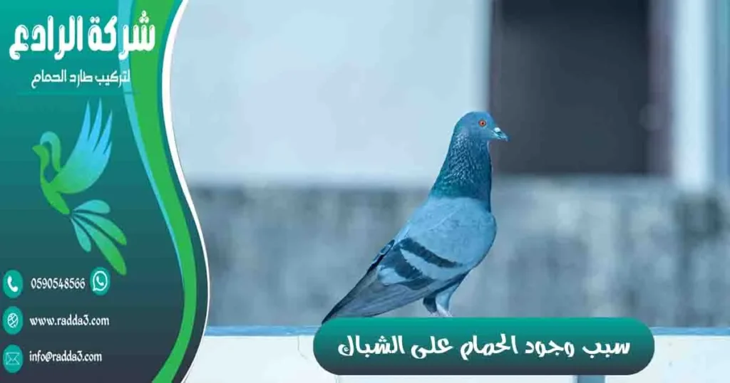 سبب وجود الحمام على الشباك
وجود الحمام على الشباك
على ماذا يدل وجود عش الحمام على الشباك؟
وجود حمامة على شباك البيت