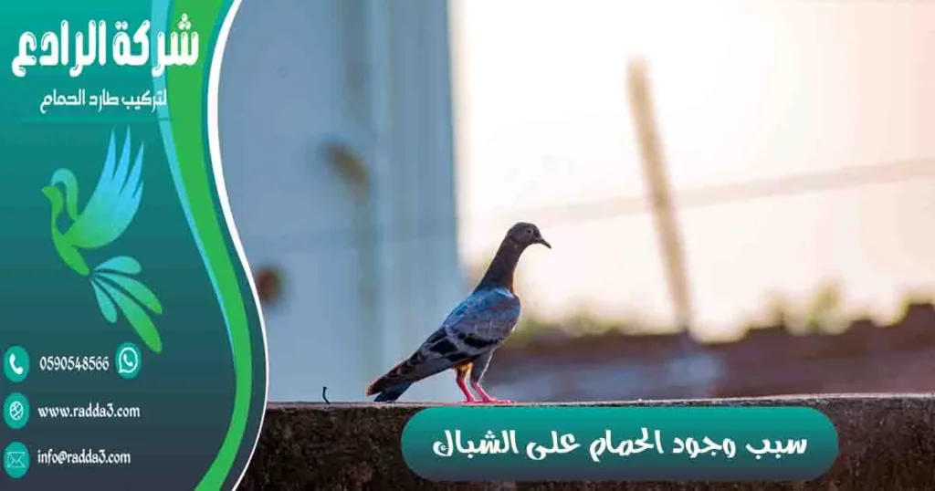 سبب وجود الحمام على الشباك
وجود الحمام على الشباك
على ماذا يدل وجود عش الحمام على الشباك؟
وجود حمامة على شباك البيت